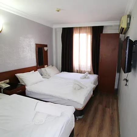 Otel Lyon 3*